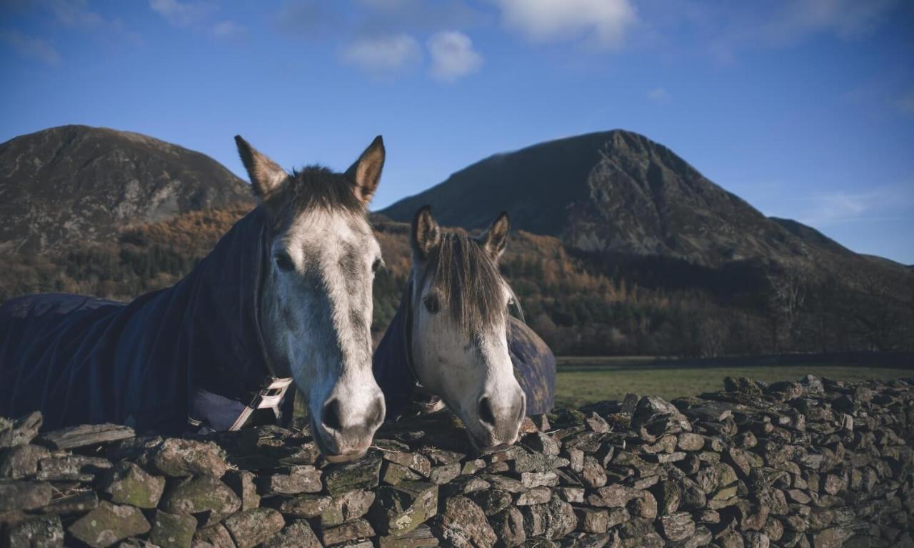 Cedar Nook Villa Loweswater Buitenkant foto